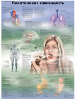 Плакат "Никотиновая зависимость" ламинированный - fgospostavki.ru - Салехард