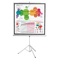 Экран на штативе DSKD-1104 - fgospostavki.ru - Салехард