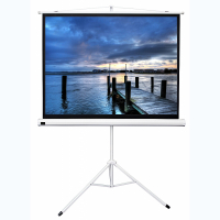 Экран на штативе DSKD-4302 - fgospostavki.ru - Салехард