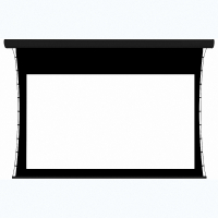 Экран настенный с электроприводом DSTPX-16916 - fgospostavki.ru - Салехард