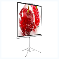 Экран на штативе DSKD-1106 - fgospostavki.ru - Салехард