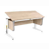 Школьная парта-трансформер с 5 лет, размер 120x50x53(до 81.5) - fgospostavki.ru - Салехард