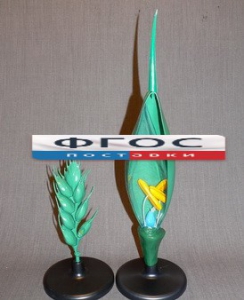 Модель "Цветок пшеницы" - fgospostavki.ru - Салехард