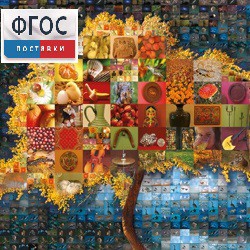 Начальная школа. Иностранный язык. (Цифровая база изображений) - fgospostavki.ru - Салехард