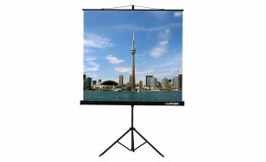 Проекционный экран на штативе Lumien Eco View (LEV-100105) 160x160 см - fgospostavki.ru - Салехард