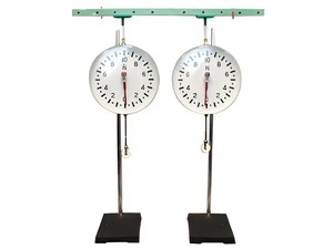 Динамометр демонстрационный (пара) - fgospostavki.ru - Салехард