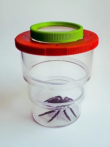 Коробка для изучения насекомых (с лупой) - fgospostavki.ru - Салехард