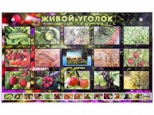 Комплект оборудования "Живой уголок" (растения) с тифлопереводом и сурдокомментариями - fgospostavki.ru - Салехард