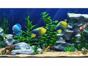 Интерактивный аттракционный комплекс "Водный мир" - fgospostavki.ru - Салехард