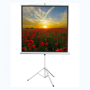 Экран на штативе DSKD-1105  - fgospostavki.ru - Салехард