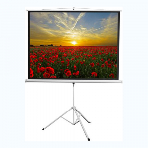 Экран на штативе DSKD-4303 - fgospostavki.ru - Салехард