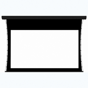 Экран настенный с электроприводом DSTPX-16918 - fgospostavki.ru - Салехард