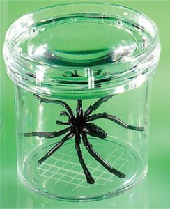 Баночка для изучения насекомых GeoSafari - fgospostavki.ru - Салехард