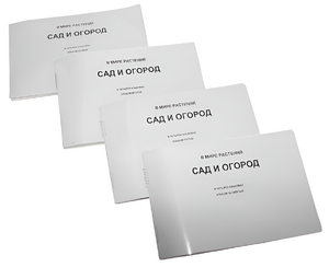 Пособие для слабовидящих - В мире растений: сад и огород - fgospostavki.ru - Салехард