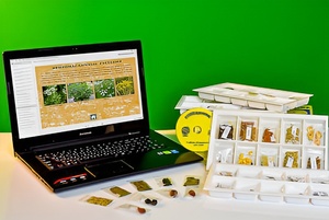 Коллекция натурально-интерактивная "Плоды сельскохозяйственных растений" - fgospostavki.ru - Салехард