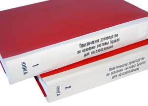 Практическое руководство по освоению системы Брайля для поздноослепших в 2-х книгах - fgospostavki.ru - Салехард