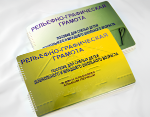 Пособие для слабовидящих детей - Рельефно-графическая грамота для слепых детей дошкольного и младшего школьного возраста - fgospostavki.ru - Салехард
