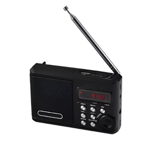 Радиоприемник цифровой с крупными кнопками - fgospostavki.ru - Салехард