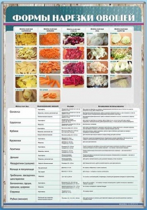 Стенд "Формы нарезки овощей" - fgospostavki.ru - Салехард