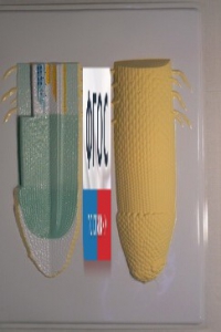 Модель барельефная "Клеточное строение корня" - fgospostavki.ru - Салехард