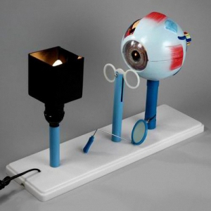 Модель "Зрение" (электрическая) - fgospostavki.ru - Салехард