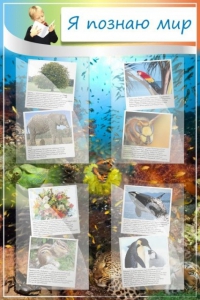 Стенд "Я познаю мир" - fgospostavki.ru - Салехард