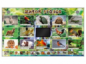 Комплект оборудования "Живой уголок" (животные) - fgospostavki.ru - Салехард