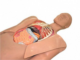 Муляж оперируемого пациента с экскурсией в грудную клетку и маской наркоза - fgospostavki.ru - Салехард