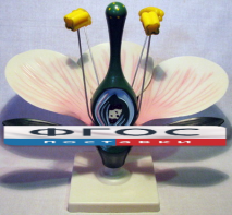 Модель "Цветок яблони" - fgospostavki.ru - Салехард