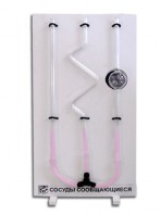 Сосуды сообщающиеся (вариант 2) - fgospostavki.ru - Салехард