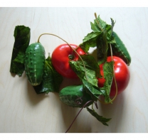 Ветка муляжей "Ассорти" (овощи) - fgospostavki.ru - Салехард