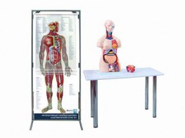 Интерактивный учебный комплекс "Анатомический атлас 3D" - fgospostavki.ru - Салехард