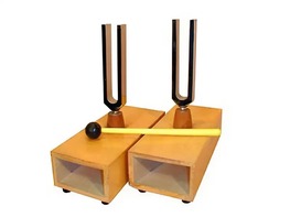 Камертоны на резонансных ящиках (пара) - fgospostavki.ru - Салехард