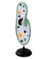 Модель инфузории-туфельки - fgospostavki.ru - Салехард