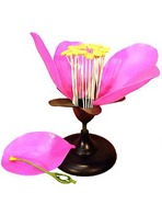 Модель цветка яблони - fgospostavki.ru - Салехард