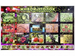 Комплект оборудования "Живой уголок" (растения) с тифлопереводом и сурдокомментариями - fgospostavki.ru - Салехард