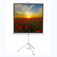 Экран на штативе DSKD-1105  - fgospostavki.ru - Салехард