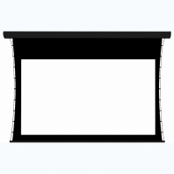 Экран настенный с электроприводом DSTPX-16915 - fgospostavki.ru - Салехард