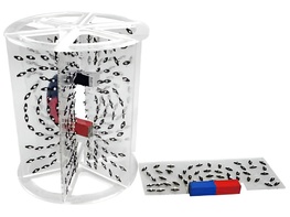 Модель для демонстрации в объеме линий магнитного поля - fgospostavki.ru - Салехард