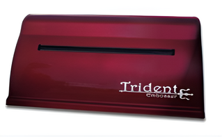 Принтер для печати рельефно-точечным шрифтом Брайля Trident - fgospostavki.ru - Салехард