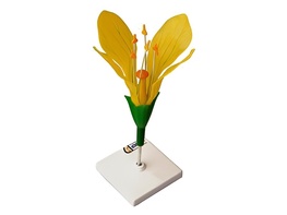 Модель цветка капусты - fgospostavki.ru - Салехард