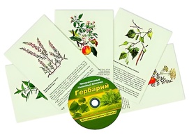 Интерактивный наглядный комплекс "Гербарий "Для начальной школы" - fgospostavki.ru - Салехард