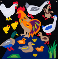 Пособие для слабовидящих детей «Домашние птицы» - fgospostavki.ru - Салехард