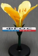 Модель "Цветок капусты" - fgospostavki.ru - Салехард