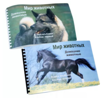 Пособие для слабовидящих - Домашние животные - fgospostavki.ru - Салехард