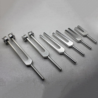 Набор камертонов - fgospostavki.ru - Салехард