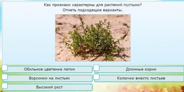 Интерактивные курсы. Окружающий мир 3 класс . Базовый. - fgospostavki.ru - Салехард