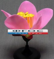 Модель "Цветок персика" - fgospostavki.ru - Салехард