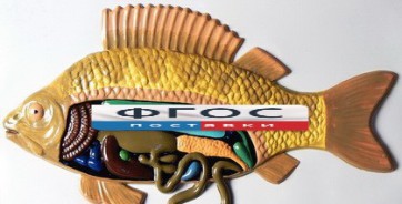 Модель барельефная "Внутреннее строение рыбы" - fgospostavki.ru - Салехард