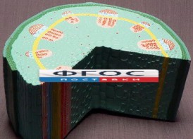 Модель "Стебель растения" - fgospostavki.ru - Салехард